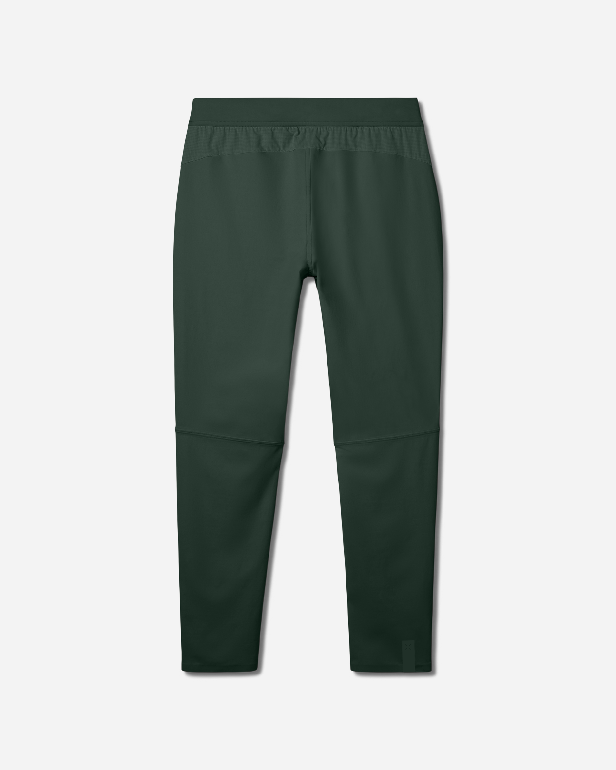 Interval Pant | Regular Pine Back
