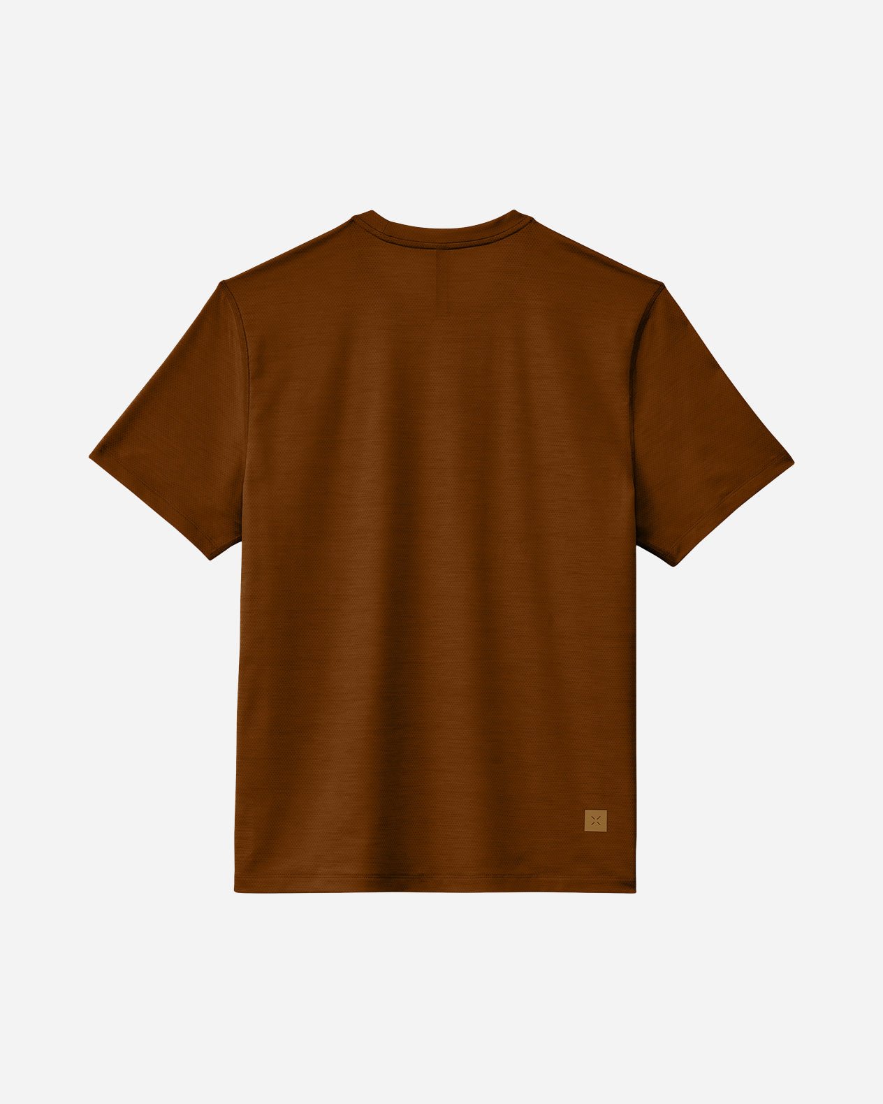 Interval Shirt Fossil Back